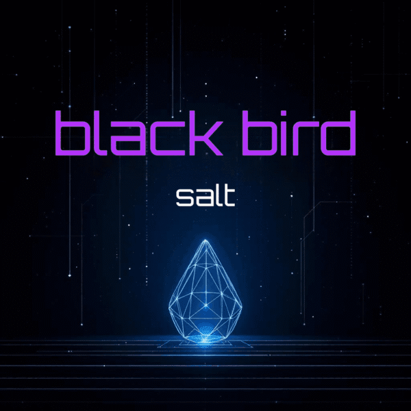 A digital artwork titled 'black bird' in purple above 'salt' in white, featuring a geometric glowing diamond shape on a dark background with a starry, cosmic atmosphere.
